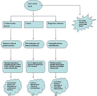 The Toxicological Mechanisms of Environmental Soot (Black Carbon) and Carbon Black: Focus on Oxidative Stress and Inflammatory Pathways